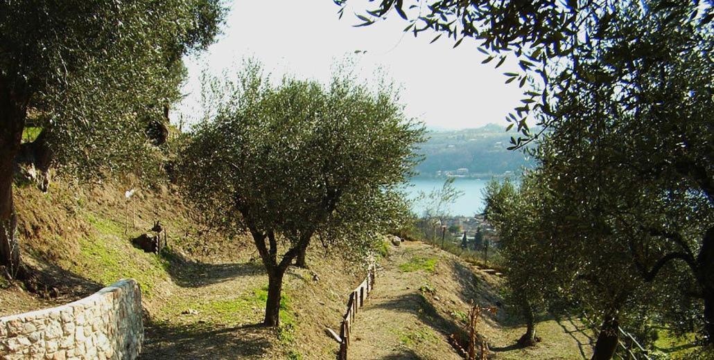 Agriturismo Villa Bissiniga Salo Exterior photo